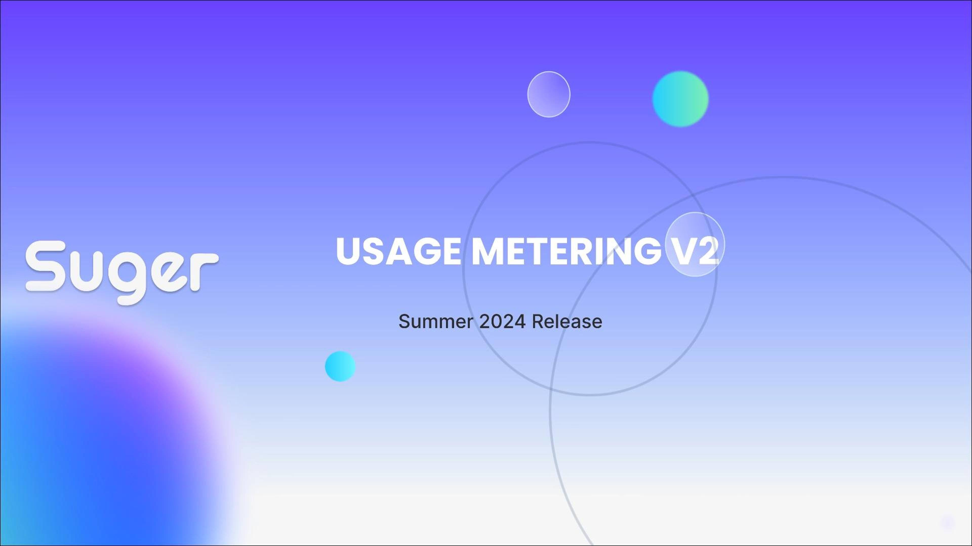 Summer 2024 Release | Custom filters, flexible pricing models and more